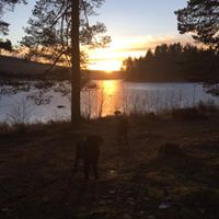 Filipstads Djurcenter Eftr logotyp